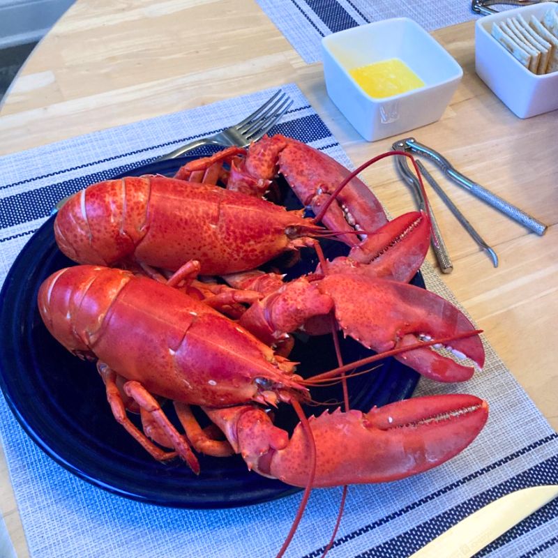 6 Prime Live Maine Lobsters (1.46-1.7 lb)