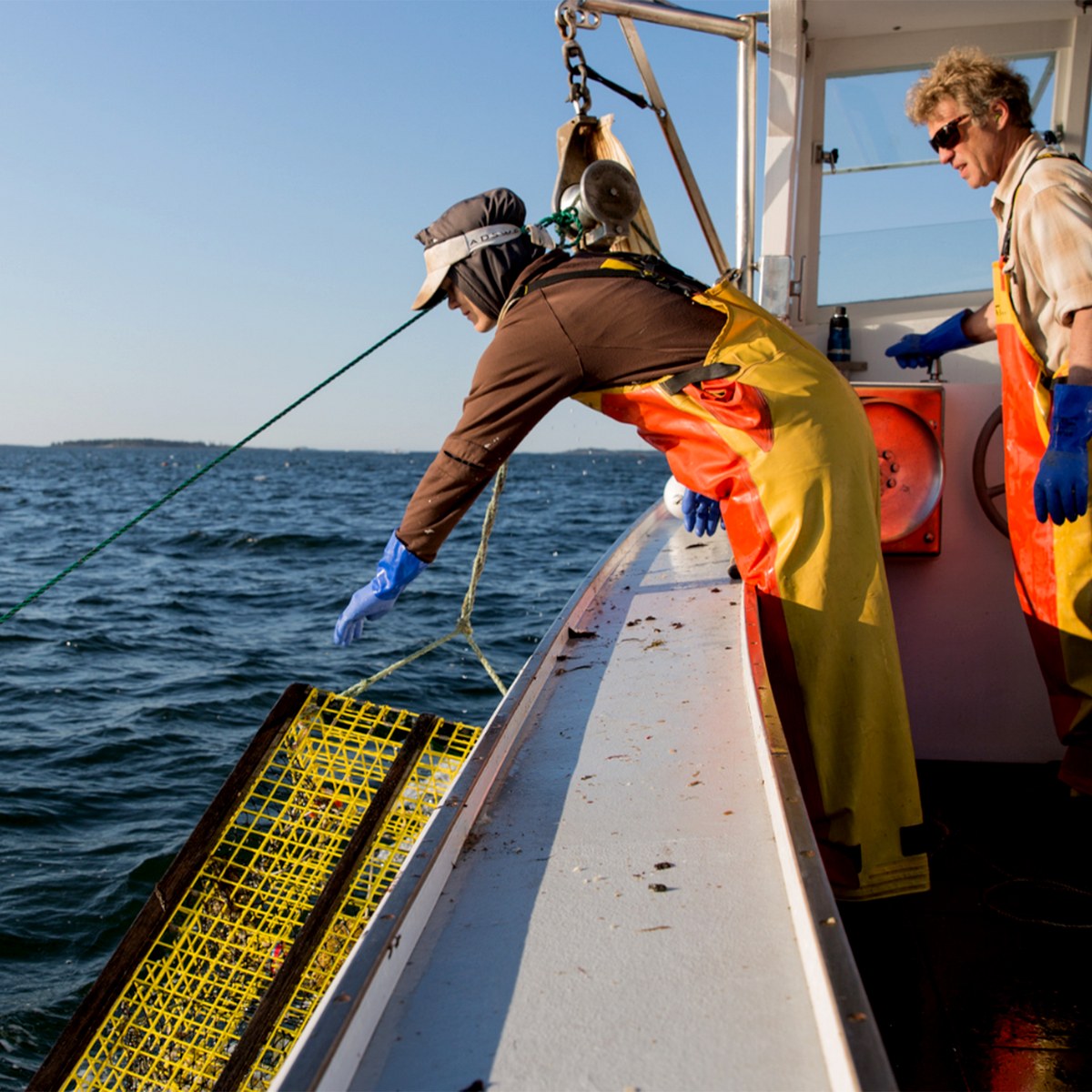 Get Maine Lobster crew hauling traps off the Maine coast