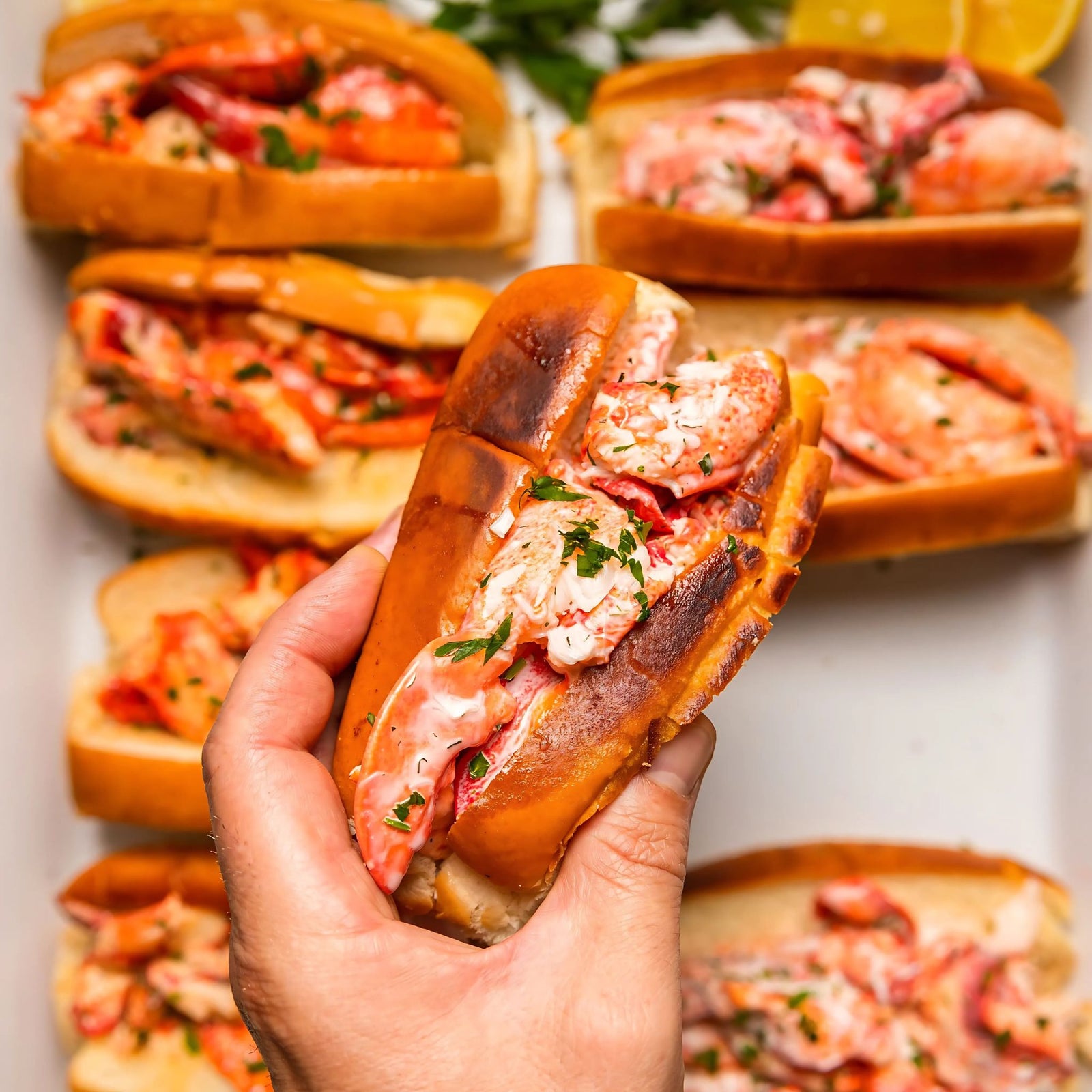 Prime Classic Maine lobster rolls, one held up to the camera